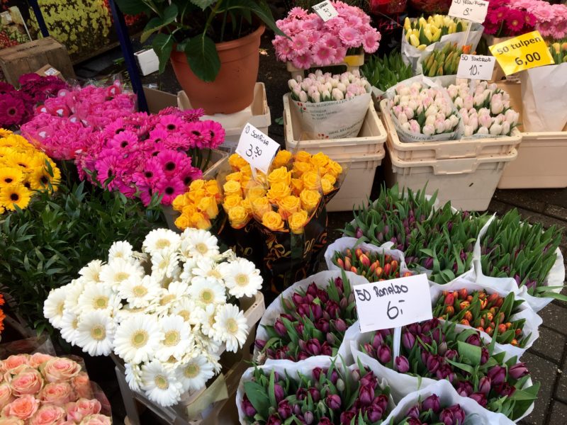 アムステルダム最大のフラワーマーケット シンゲルの花市場 Mooi Holland